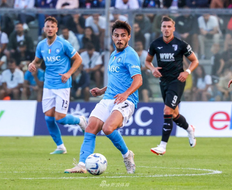 却极少出现 却极少出现