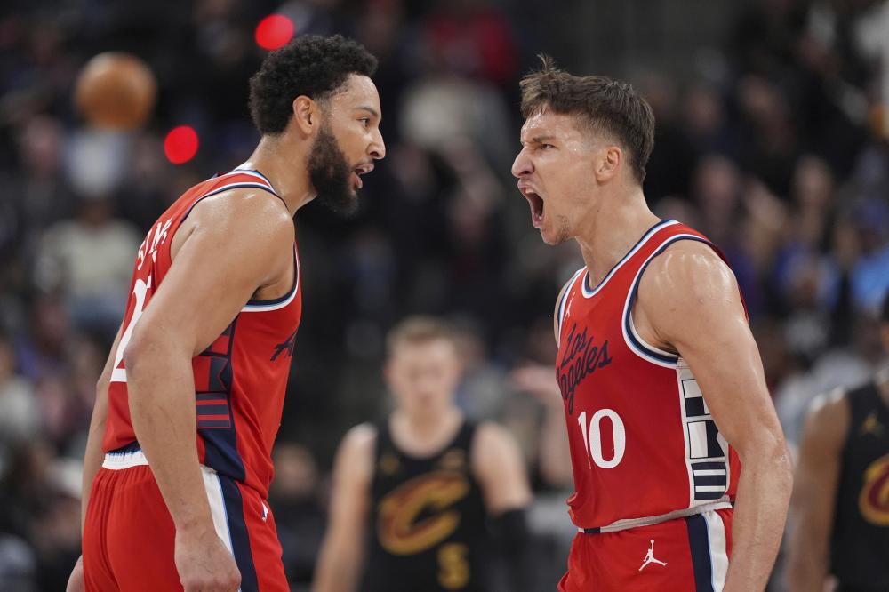 蓝狐的冠军 蓝狐的冠军